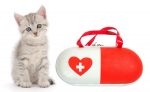 first-aid-for-kittens