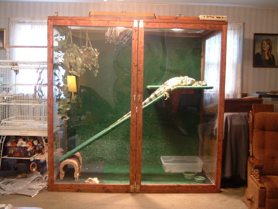 iguana-cage