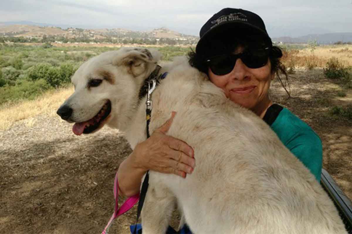 reason-to-adopt-a-shelter-dog