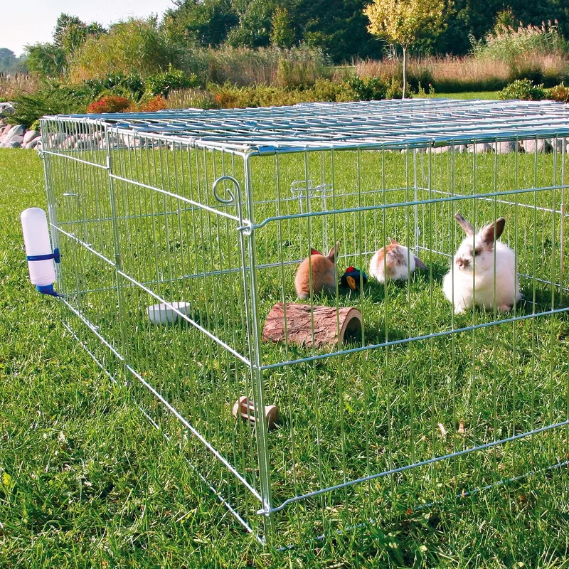 rabbit-cage